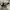Adidas Casual Sneakers Pria white black photo 4