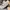 Balenciaga Streetwear Luxury Sneakers Pria orange white photo 6