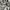 Nike Streetwear Sportswear Hoody Pria gray photo 7