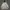 Nike Streetwear Sportswear Hoody Pria gray photo 1