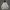 Nike Streetwear Sportswear Hoody Pria Gray