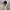 Nike Streetwear Sportswear Hoody Pria gray photo 4