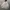 Nike Streetwear Sportswear Hoody Pria gray photo 2