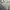 Nike Streetwear Sportswear Hoody Pria gray photo 3
