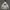 Levi's Vintage Streetwear Hoody Pria gray photo 1