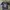 Reebok Streetwear Y2K Jersey Wanita navy photo 2