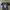 Reebok Streetwear Y2K Jersey Wanita Navy