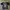 Reebok Streetwear Y2K Jersey Wanita navy photo 1