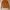 Luxury Minimalist Sweater Wanita orange photo 4