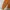 Luxury Minimalist Sweater Wanita orange photo 5