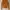 Luxury Minimalist Sweater Wanita orange photo 3