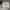 Y2K Sportswear Jersey Pria white photo 1