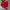 Vintage Y2K Jersey Pria red photo 1