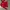 Vintage Y2K Jersey Pria Red