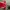 Sportswear Casual Jersey Pria Red