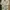Zara Futurist Casual shirt Pria yellow khaki photo 3