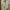 Zara Futurist Casual shirt Pria yellow khaki photo 1