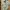 Zara Futurist Casual Shirt Pria Yellow Khaki