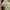 Zara Futurist Casual shirt Pria yellow khaki photo 4
