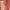 H&M Avant Garde Biker Casual dress Wanita pink photo 4