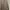 Colorbox Minimalist Casual dress Wanita brown photo 3