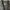 Woolrich Luxury Minimalist Cardigan Wanita gray photo 3
