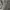 Woolrich Luxury Minimalist Cardigan Wanita gray photo 4