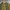 Vintage Y2K Harrington jacket Wanita yellow photo 2