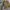 Vintage Y2K Harrington jacket Wanita yellow photo 4