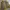 Vintage Y2K Harrington jacket Wanita yellow photo 3