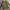 Vintage Y2K Harrington jacket Wanita yellow photo 5