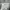 KIRSH Casual Jumper Pria gray photo 3