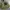 Streetwear Sportswear Windbreaker Kids green photo 3