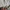 Streetwear Sportswear Windbreaker Kids green photo 7