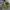 Streetwear Sportswear Windbreaker Kids green photo 4