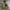 Streetwear Sportswear Windbreaker Kids green photo 1