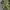 Streetwear Sportswear Windbreaker Kids green photo 5