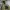 Streetwear Sportswear Windbreaker Kids green photo 2
