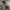 Streetwear Sportswear Windbreaker Kids Green