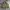 Streetwear Sportswear Windbreaker Kids green photo 8