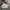 Streetwear Sportswear Windbreaker Kids green photo 6