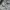 Adidas Casual Track jacket Pria white black photo 7