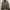 Casual Harrington jacket Pria tan photo 1