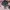 47 Brand Casual Hat Pria multicolor black photo 2
