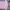 Polo Ralph Lauren Sportswear Casual Polo shirt Pria multicolor pink photo 2