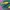 Puma Streetwear Casual Sneakers Pria green yellow photo 2