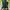 H&M Skater Casual Varsity jacket Pria green cream photo 4