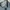 Uniqlo Streetwear Y2K Jeans Pria navy blue photo 6