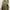 Japanese brand Casual Bomber jacket Pria tan brown photo 2