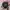 Timberland Sportswear Hat Pria black photo 3